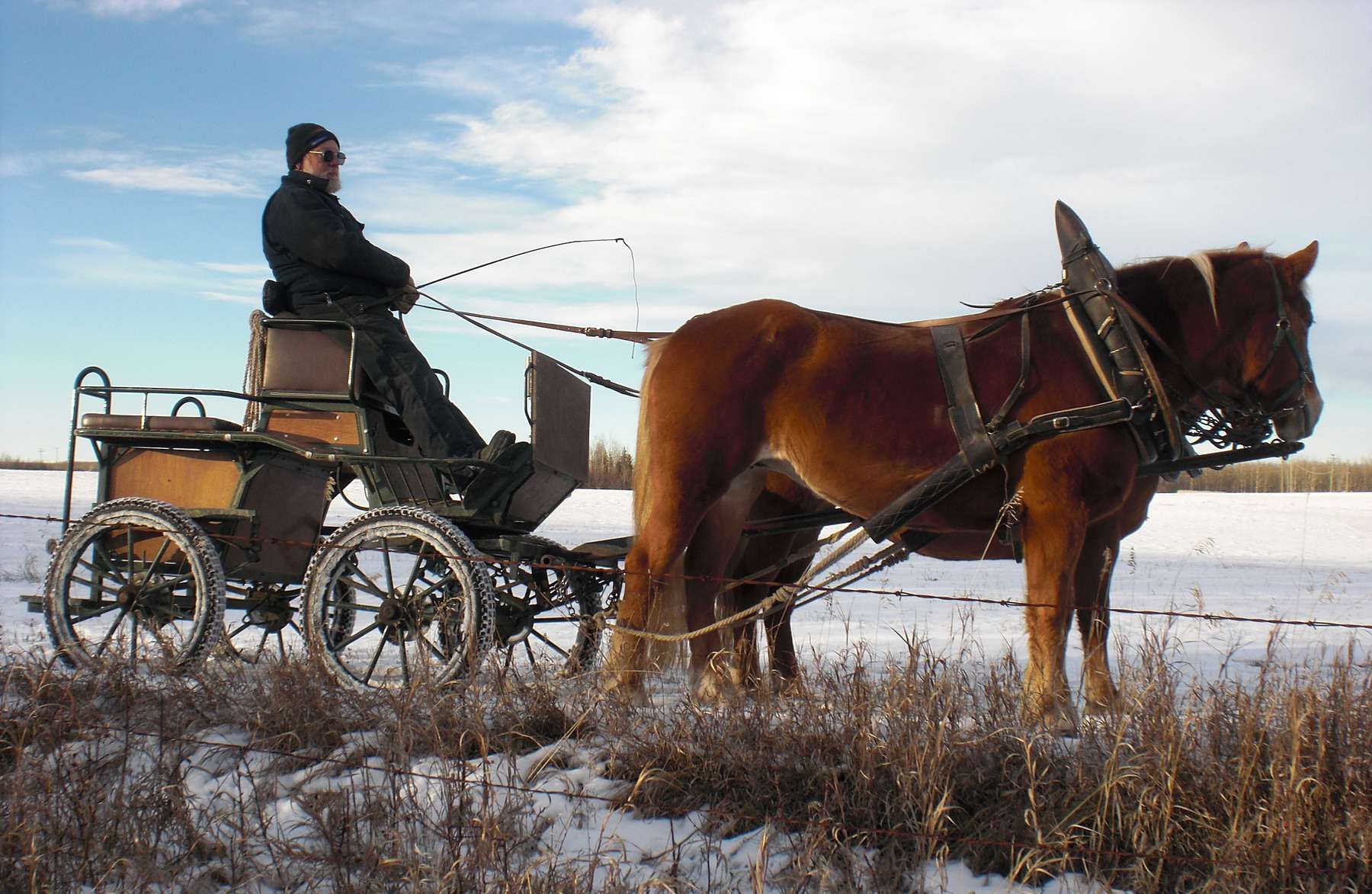 sb46_mb_pferd.jpg © Privat sb46_mb_pferd.jpg © Privat