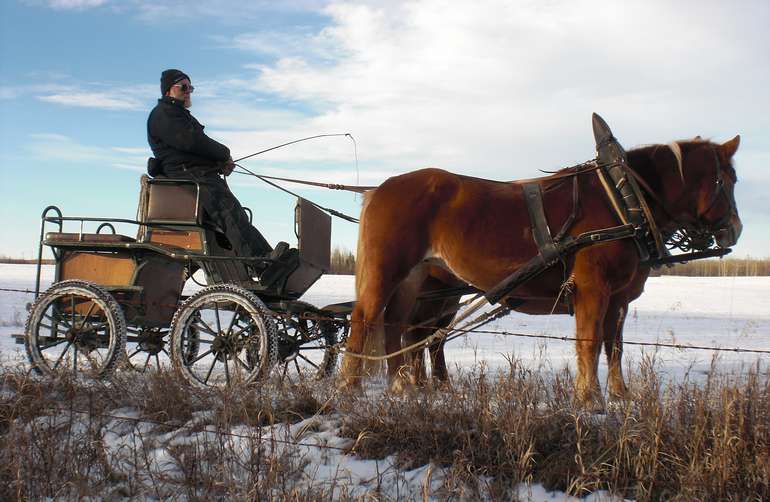 sb46_mb_pferd.jpg © Privat sb46_mb_pferd.jpg © Privat