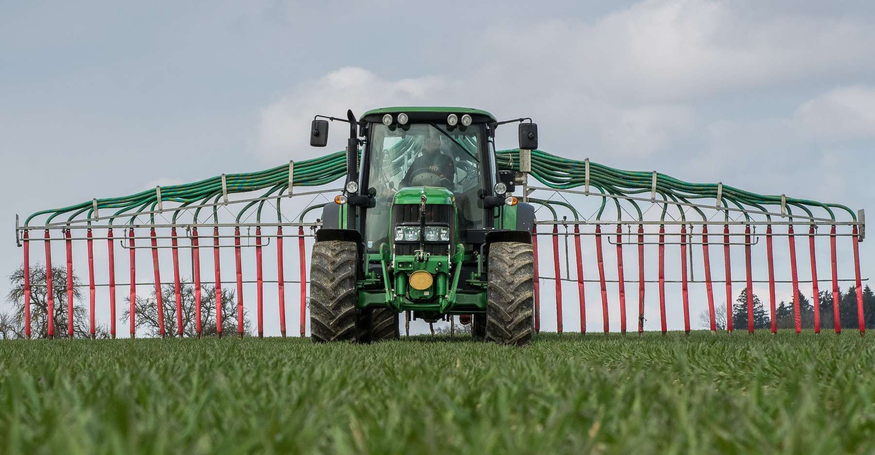 Guelle_zu_Weizenbestockung_25-ID77220.jpg © agrarfoto