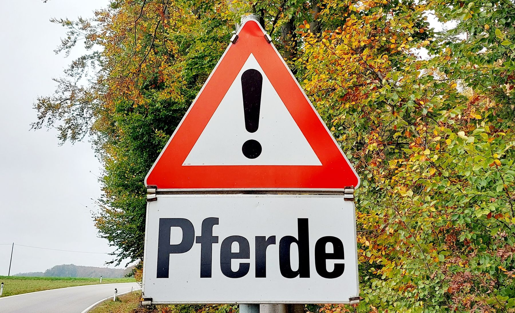 Equidenmeldungen sind für alle Pferdehalter ab Jänner 2023 verpflichtend. © Viktoria Egger/LK Niederösterreich Equidenmeldungen sind für alle Pferdehalter ab Jänner 2023 verpflichtend. © Viktoria Egger/LK Niederösterreich