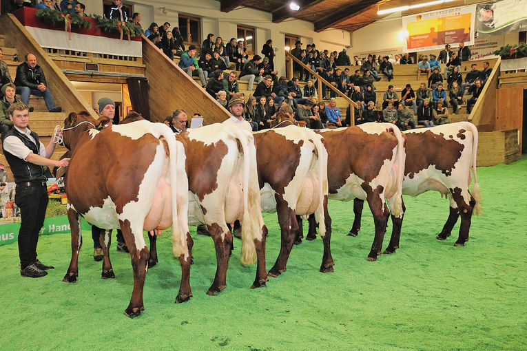 Maishofen im Bann der Züchterjugend.jpg © T. Sendlhofer