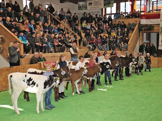 Maishofen im Bann der Züchterjugend.jpg © T. Sendlhofer