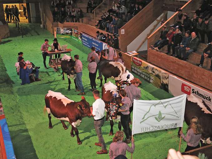 Maishofen im Bann der Züchterjugend.jpg © T. Sendlhofer Maishofen im Bann der Züchterjugend.jpg © T. Sendlhofer