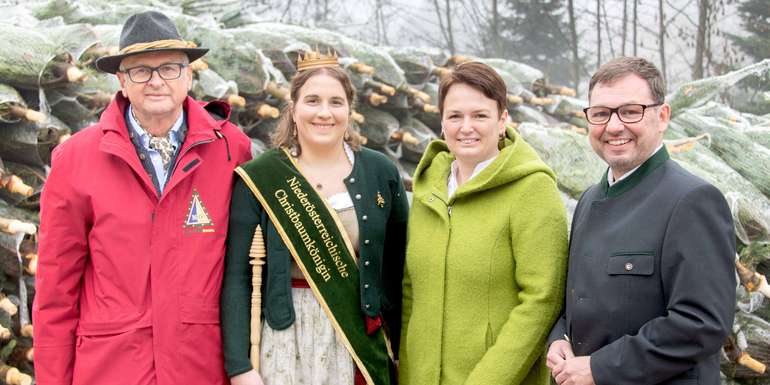 NÖ Christbaumbauern starten in die Christbaumsaison 2022