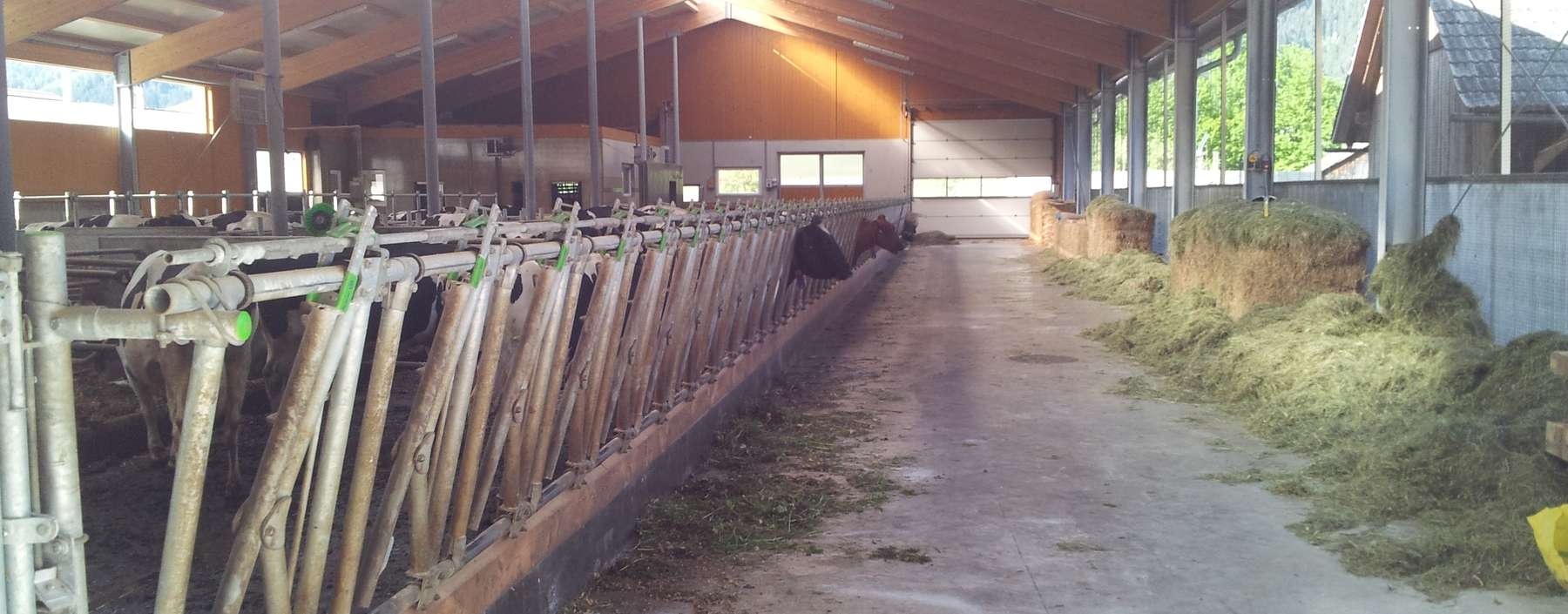 Stallbau1.jpg © LK Kärnten/Erich Kuttin Stallbau1.jpg © LK Kärnten/Erich Kuttin