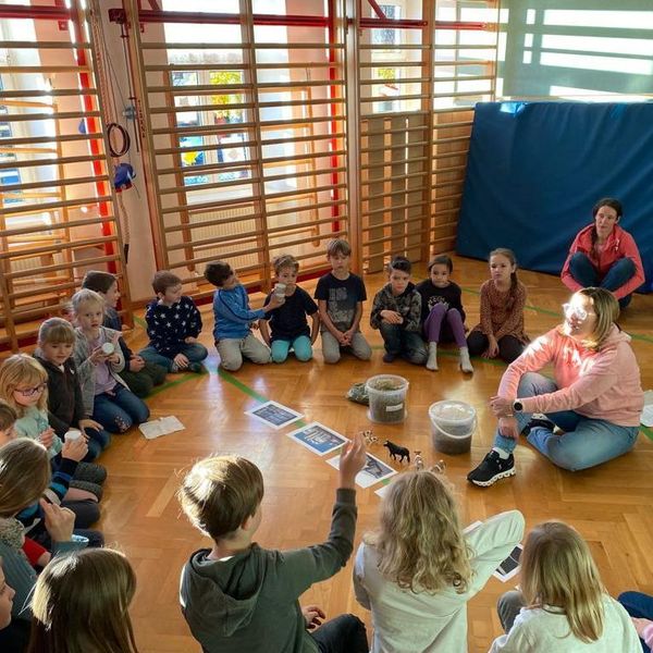 IMG-20221126-WA0019.jpg IMG-20221126-WA0019.jpg