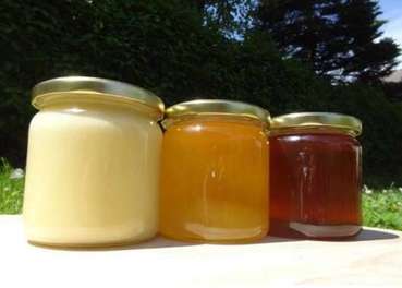 Regionale Honigspezialitäten: Cremehonig, Blütenhonig, Waldhonig (v.l.n.r.).jpg © Bienenzentrum OÖ