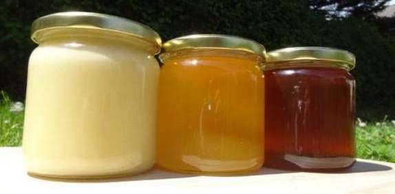 Honigspezialitäten: Cremehonig, Blütenhonig, Waldhonig (v.l.n.r.).jpg