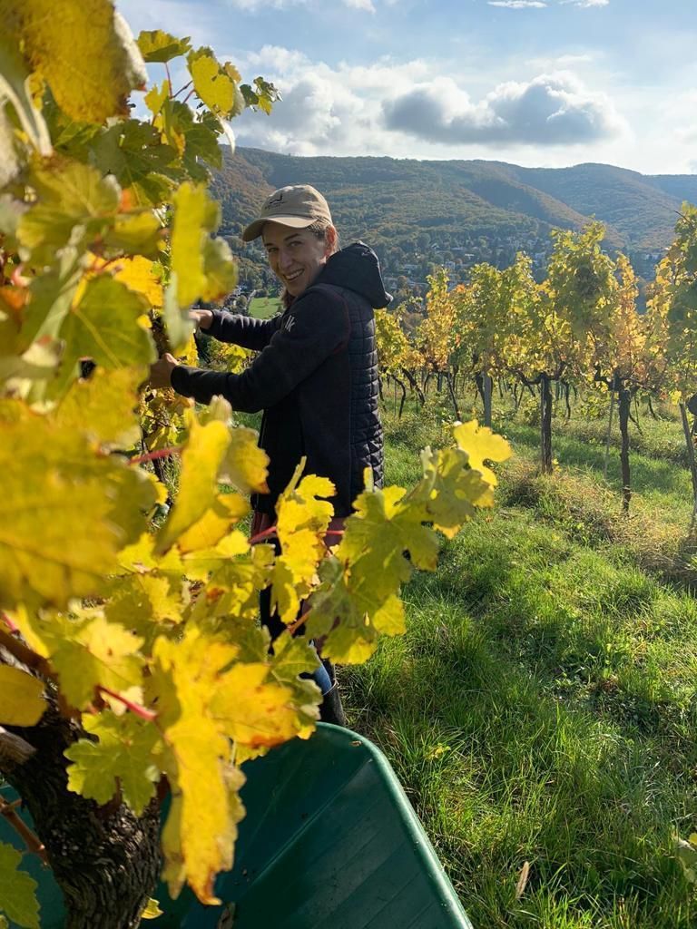 Andrea Schmuckenschlager aus Klosterneuburg ist Winzerin und Heurigenwirtin aus Leidenschaft. Nun zählt sie auch zu den besten Weinbaumeistern des Landes.