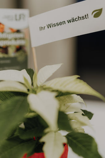© Sophie Balber/LK Niederösterreich