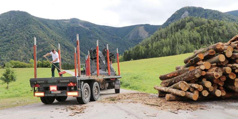 Enorme Nachfrage nach Energie- und Brennholz . © Paula Pöchlauer-Kozel/LK Niederösterreich Enorme Nachfrage nach Energie- und Brennholz . © Paula Pöchlauer-Kozel/LK Niederösterreich