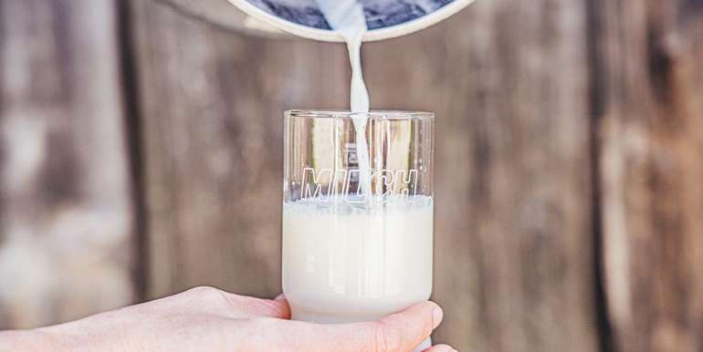 Milchqualität ist für NÖ Bäuerinnen und Bauern das Um und Auf. © Georg Pomaßl/LK Niederösterreich Milchqualität ist für NÖ Bäuerinnen und Bauern das Um und Auf. © Georg Pomaßl/LK Niederösterreich