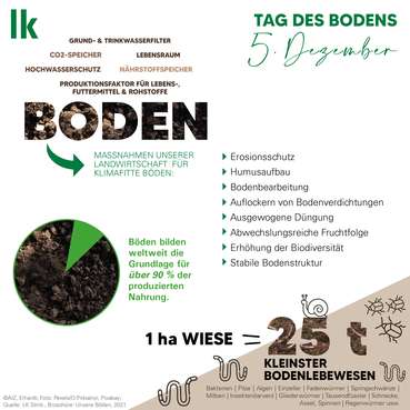 boden_03_übersicht_Grafik_221130.jpg © LK Österreich boden_03_übersicht_Grafik_221130.jpg © LK Österreich