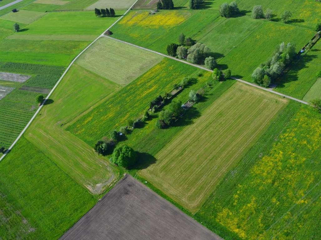 hohenems_20120511-0006 (Mittel).jpg © Land Vorarlberg hohenems_20120511-0006 (Mittel).jpg © Land Vorarlberg
