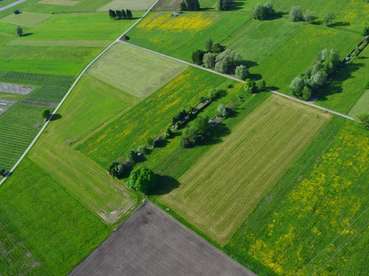 hohenems_20120511-0006 (Mittel).jpg © Land Vorarlberg hohenems_20120511-0006 (Mittel).jpg © Land Vorarlberg