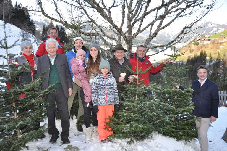 Der Christbaum als Zeichen für den Frieden.jpg © Mooslechner