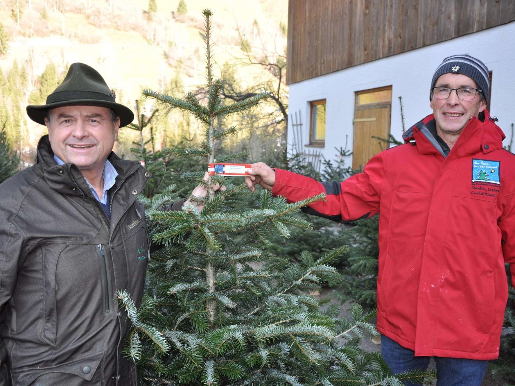 Der Christbaum als Zeichen für den Frieden.jpg © Mooslechner