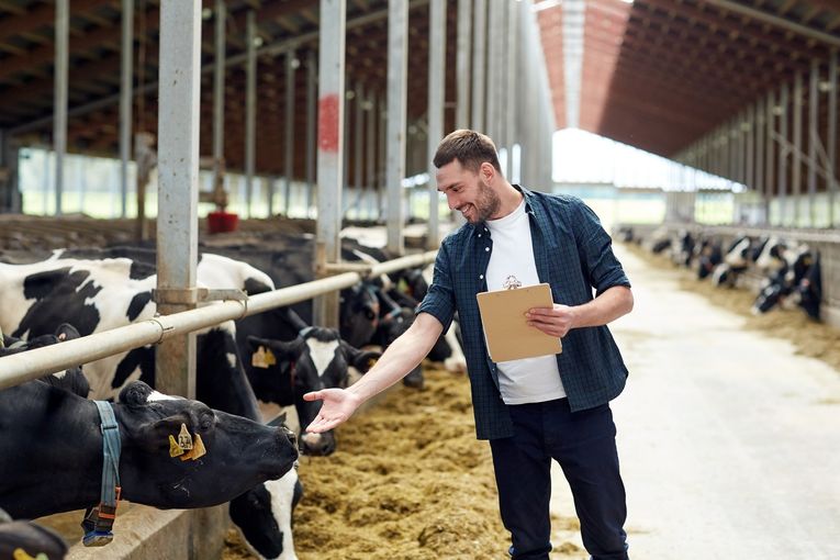 Niederlassungsprämie Junglandwirte.jpg © stock.adobe.com