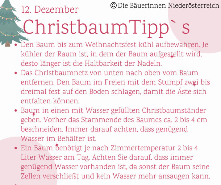 Christbaum Tipps.png