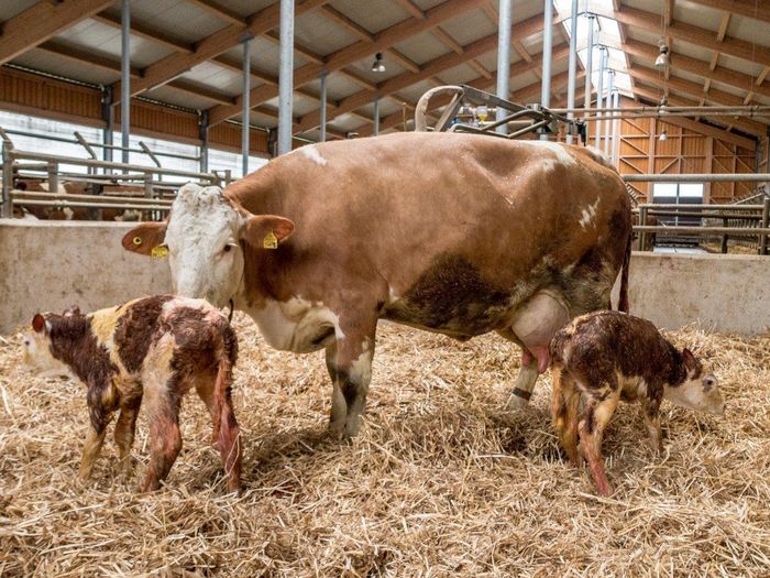 [1670924314159960_1.jpg]