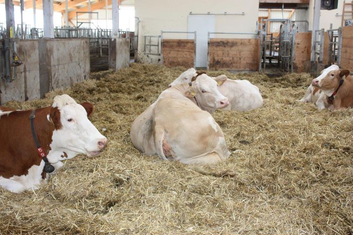 [1670924322069585_1.jpg]