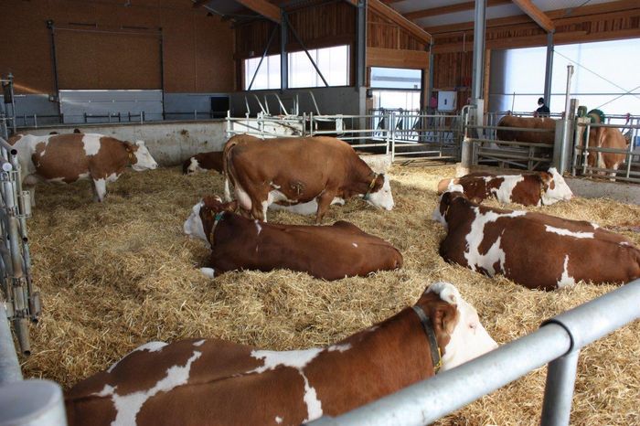 [1670924323131394_1.jpg]