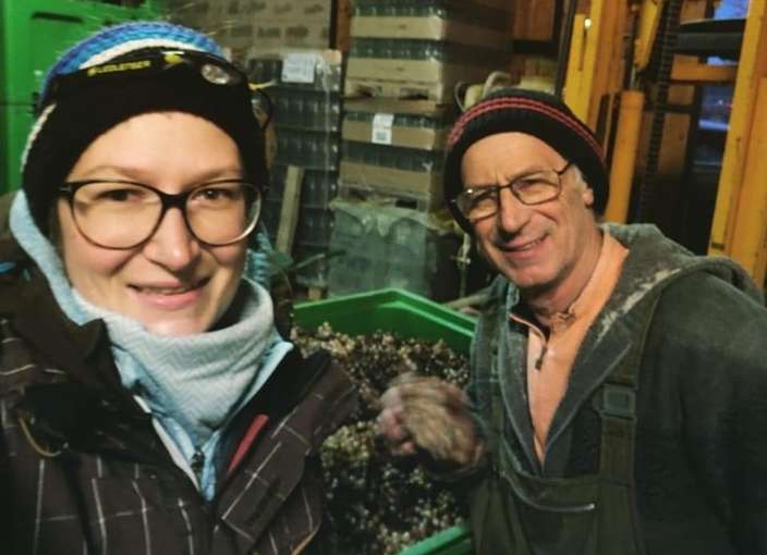 Fink Großhöflein.jpg © Weingut Hermann Fink Fink Großhöflein.jpg © Weingut Hermann Fink