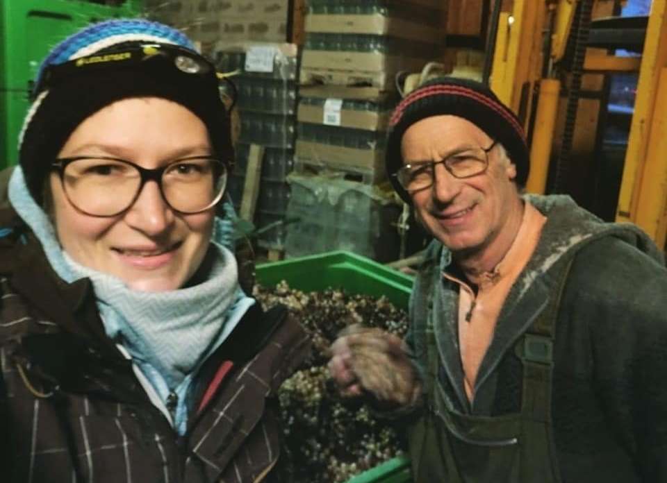 Fink Großhöflein.jpg © Weingut Hermann Fink Fink Großhöflein.jpg © Weingut Hermann Fink