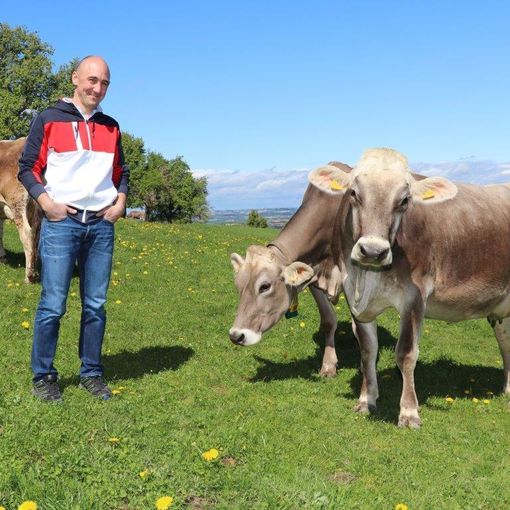 Thomas Heigl weiß die Kennzahlen der Betriebszweigauswertung im Rahmen des Arbeitskreises Milchproduktion zu schätzen. © Paula Pöchlauer-Kozel/LK Niederösterreich