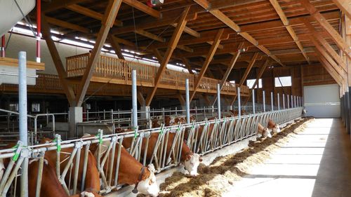 Investitionen in die landwirtschaftliche Erzeugung 73-01 | Landwirtschaftskammer Oberösterreich