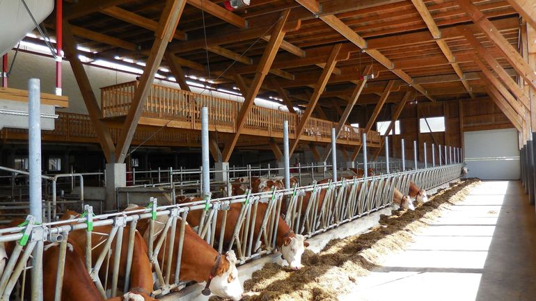 Milchviehstall.jpg © LK OÖ, Bauberatung Milchviehstall.jpg © LK OÖ, Bauberatung