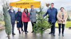 Gruber christbaum.png Gruber christbaum.png