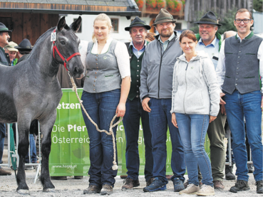 Norikerpferde aus Salzburg – begehrt wie eh und je1.png © Popatnig Norikerpferde aus Salzburg – begehrt wie eh und je1.png © Popatnig