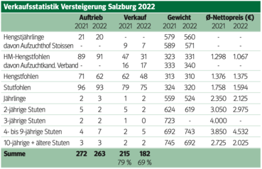 Norikerpferde aus Salzburg – begehrt wie eh und je.png