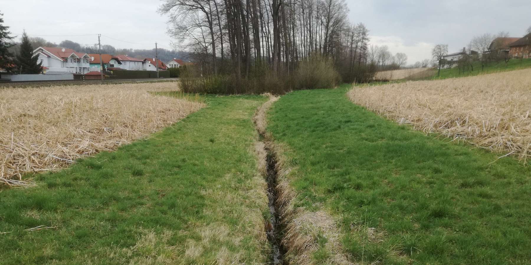Pufferstreifen_BWSB_Wallner.jpg © BWSB/Wallner Pufferstreifen_BWSB_Wallner.jpg © BWSB/Wallner