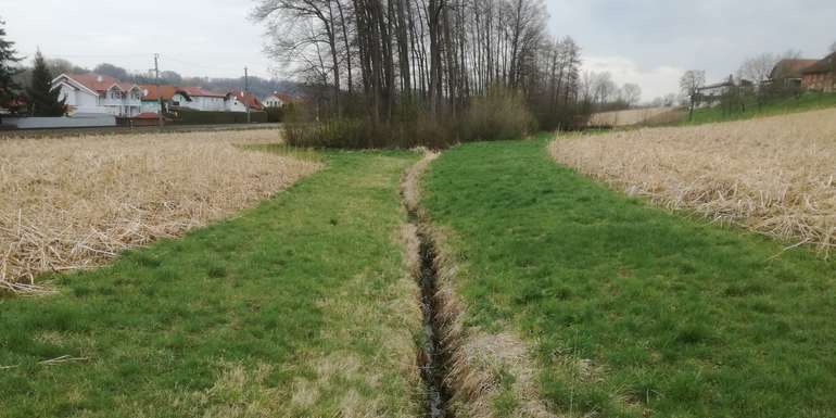 Pufferstreifen_BWSB_Wallner.jpg © BWSB/Wallner Pufferstreifen_BWSB_Wallner.jpg © BWSB/Wallner