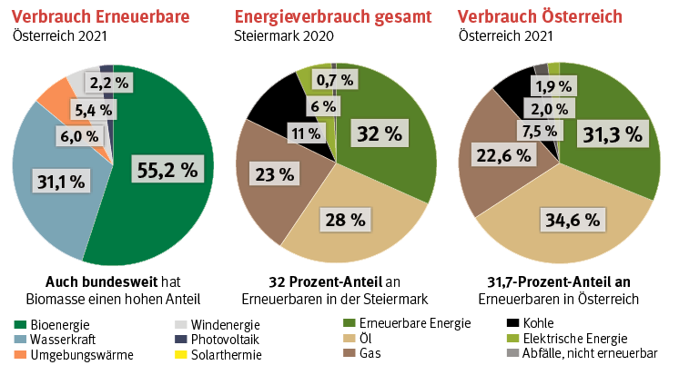 Erneuerbare Energie - Verbrauch, gesamt, Österreich.png © LK