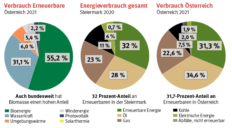Erneuerbare Energie - Verbrauch, gesamt, Österreich.png