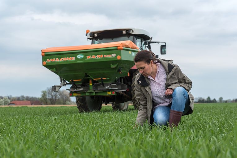 Weizen_Mineralduenger_124-ID82940.jpg © agrarfoto.com Weizen_Mineralduenger_124-ID82940.jpg © agrarfoto.com