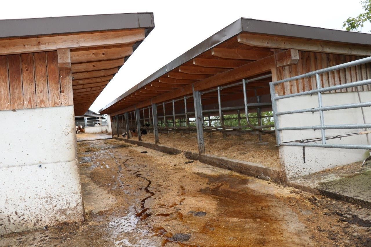 © Paula Pöchlauer-Kozel/LK Niederösterreich © Paula Pöchlauer-Kozel/LK Niederösterreich