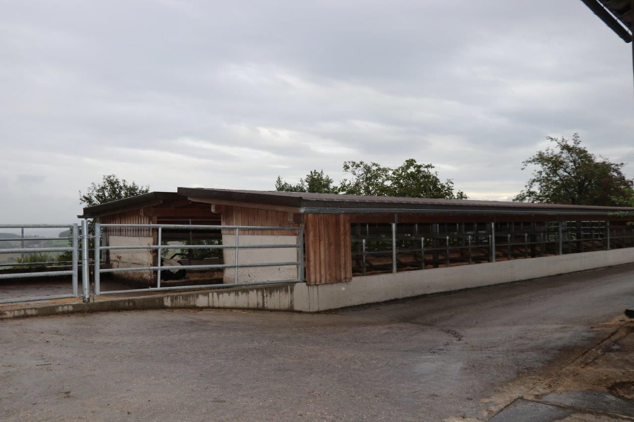 © Paula Pöchlauer-Kozel/LK Niederösterreich © Paula Pöchlauer-Kozel/LK Niederösterreich