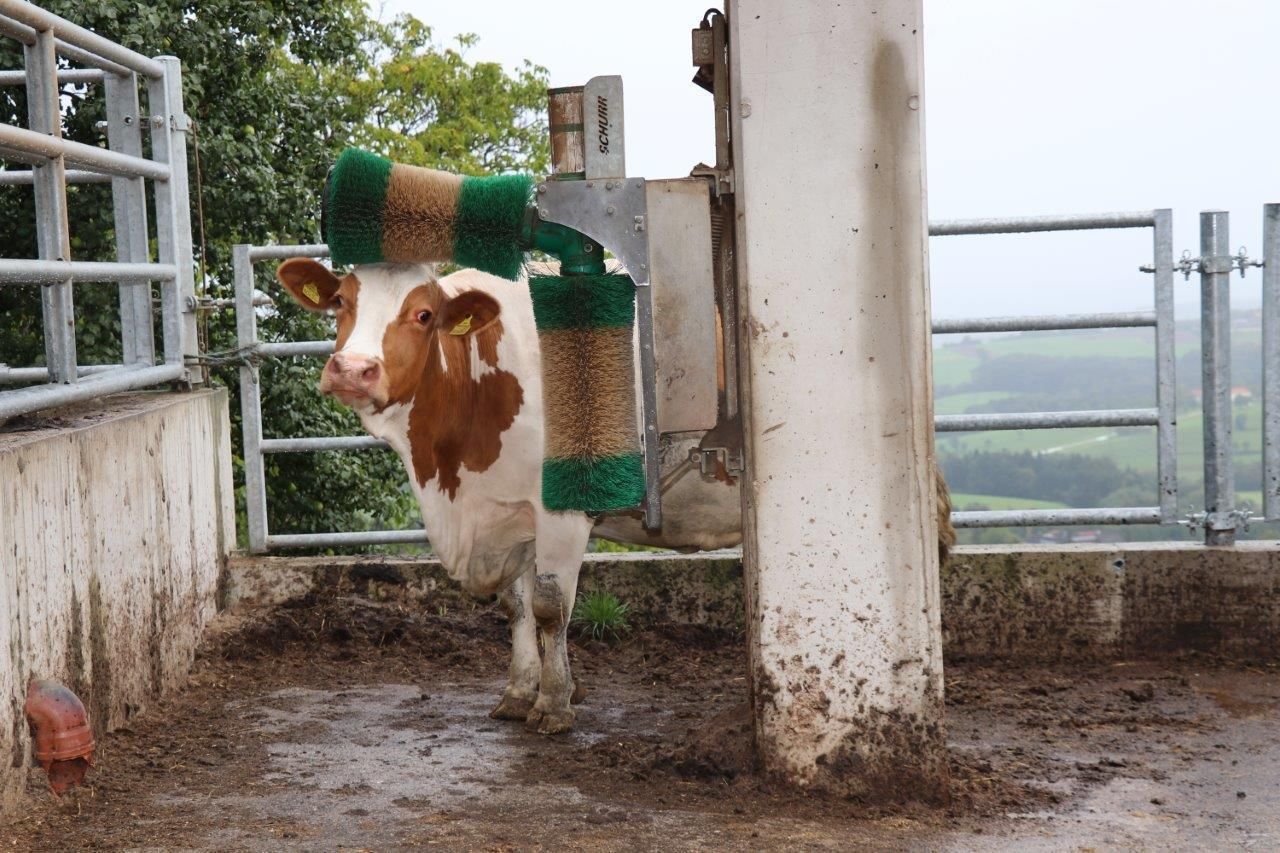 © Eduard Wagner/LK Niederösterreich © Eduard Wagner/LK Niederösterreich