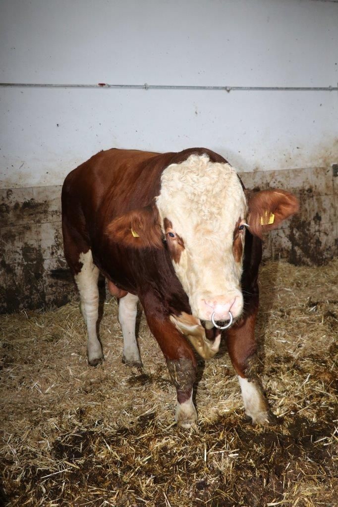 © Paula Pöchlauer-Kozel/LK Niederösterreich © Paula Pöchlauer-Kozel/LK Niederösterreich