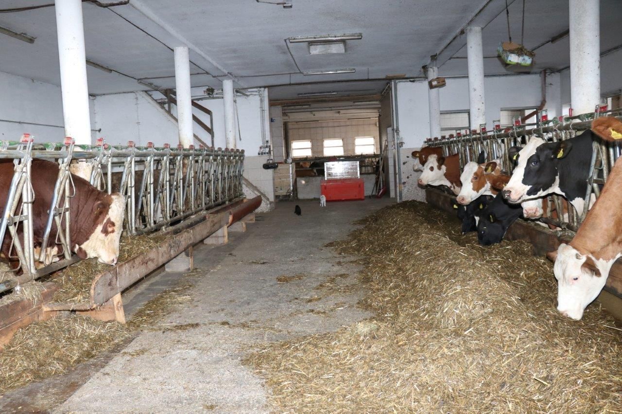 © Paula Pöchlauer-Kozel/LK Niederösterreich © Paula Pöchlauer-Kozel/LK Niederösterreich