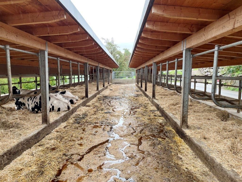 © Eduard Wagner/LK Niederösterreich © Eduard Wagner/LK Niederösterreich