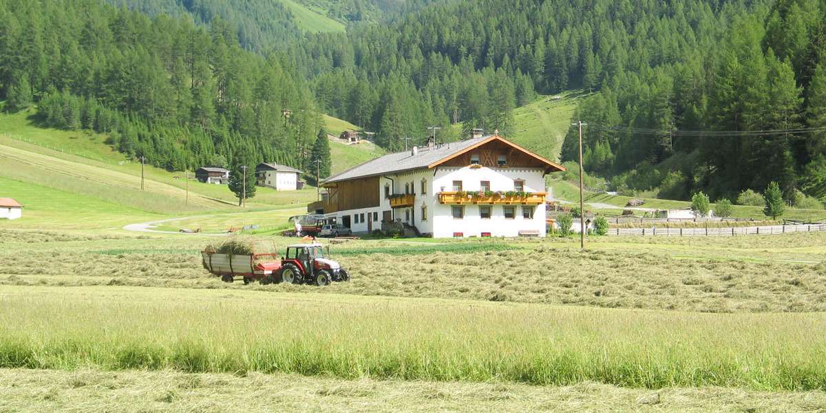 Bauernhof in Berglandschaft