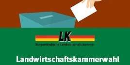 Banner LK Wahl 2023.jpg