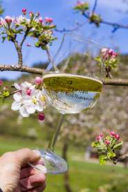 Most.jpg © Mostbarkeiten Most.jpg © Mostbarkeiten