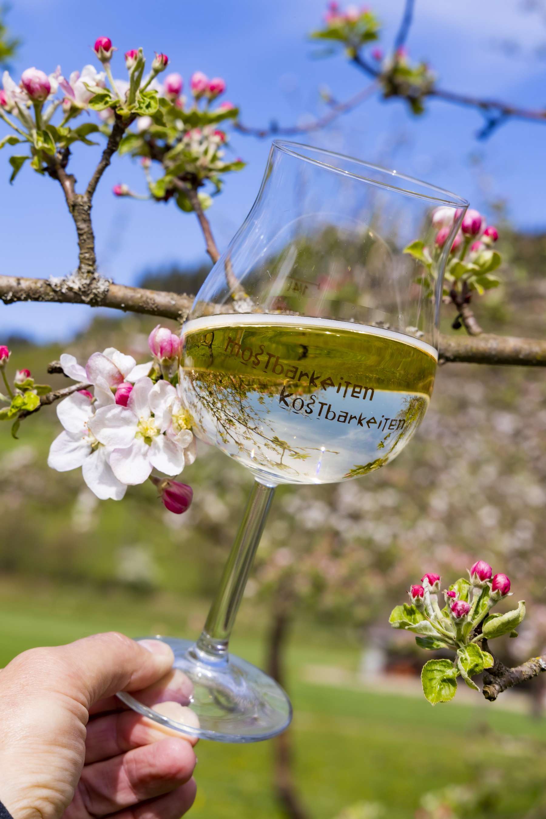 Most.jpg © Mostbarkeiten Most.jpg © Mostbarkeiten