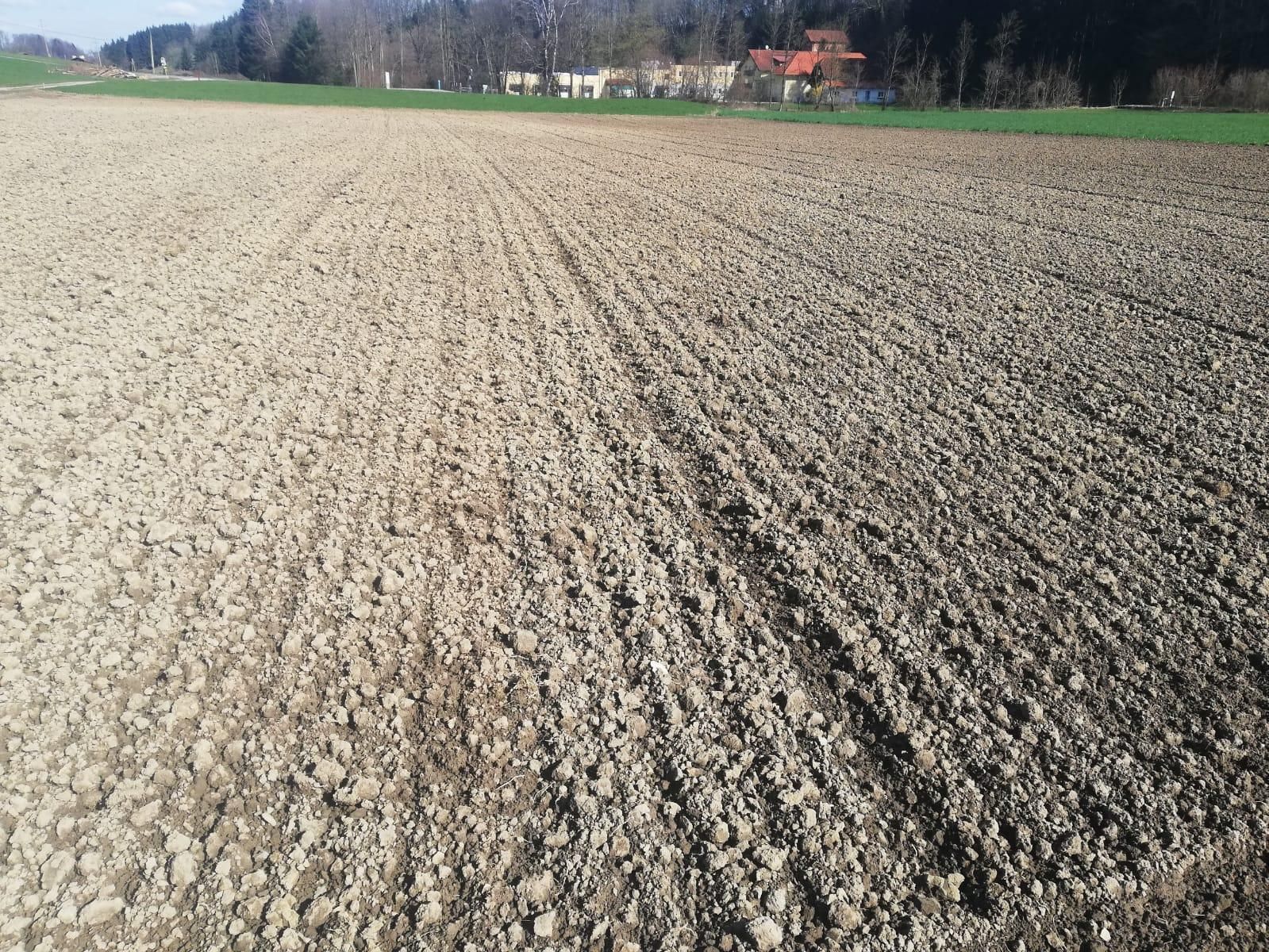 angebautes Feld.jpg © Landwirtschaftskammer Oberösterreich/Doblmair angebautes Feld.jpg © Landwirtschaftskammer Oberösterreich/Doblmair